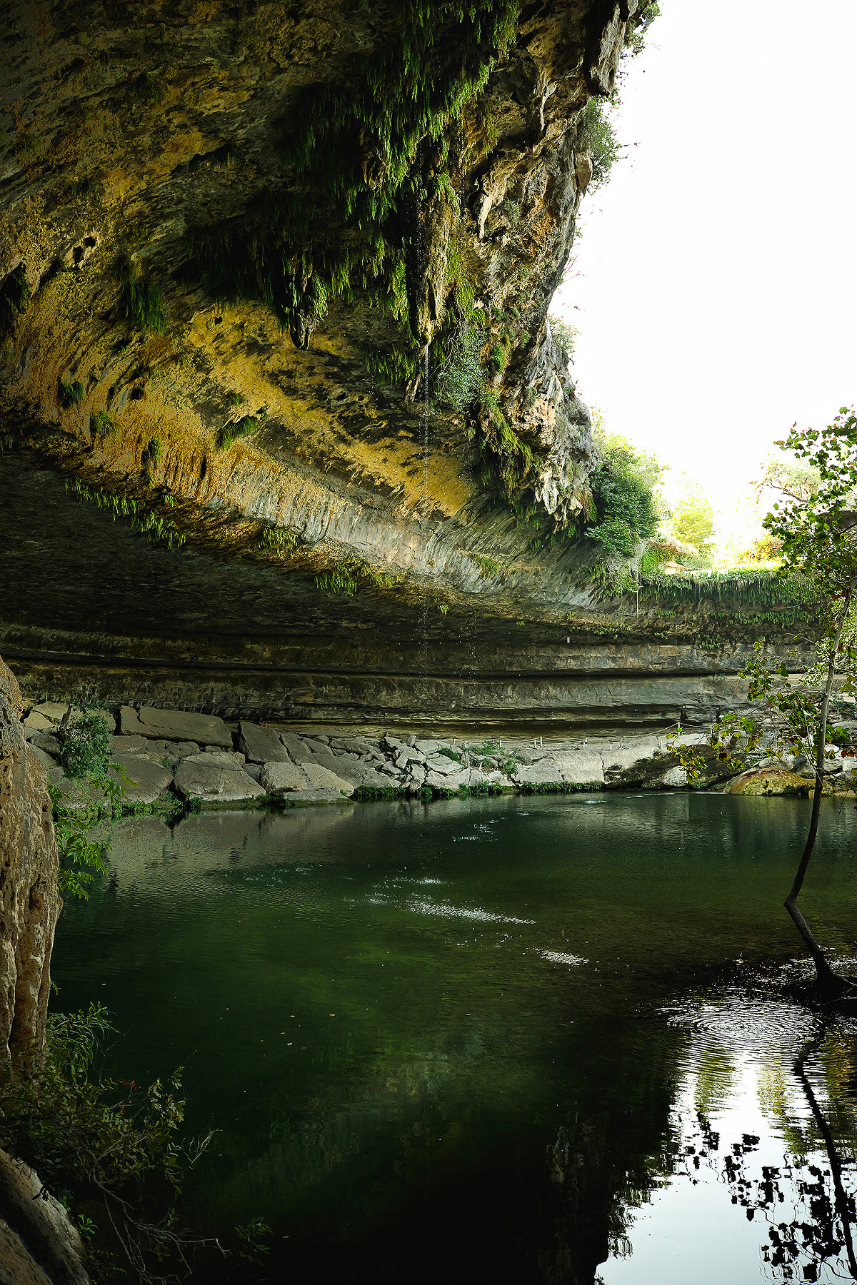 Hamilton Pool » Lauren Clark's Blog