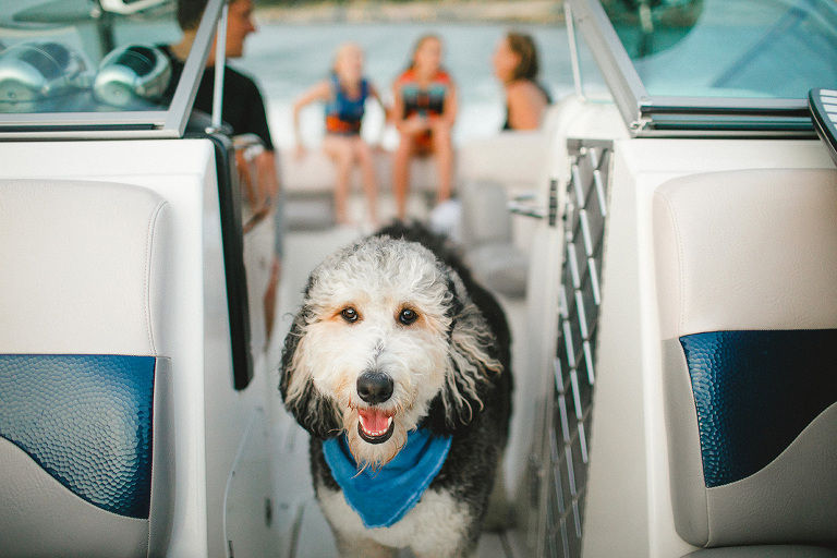 Lake Travis Boating Family photo session, Susan Armbruster